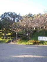 d16013be.JPG