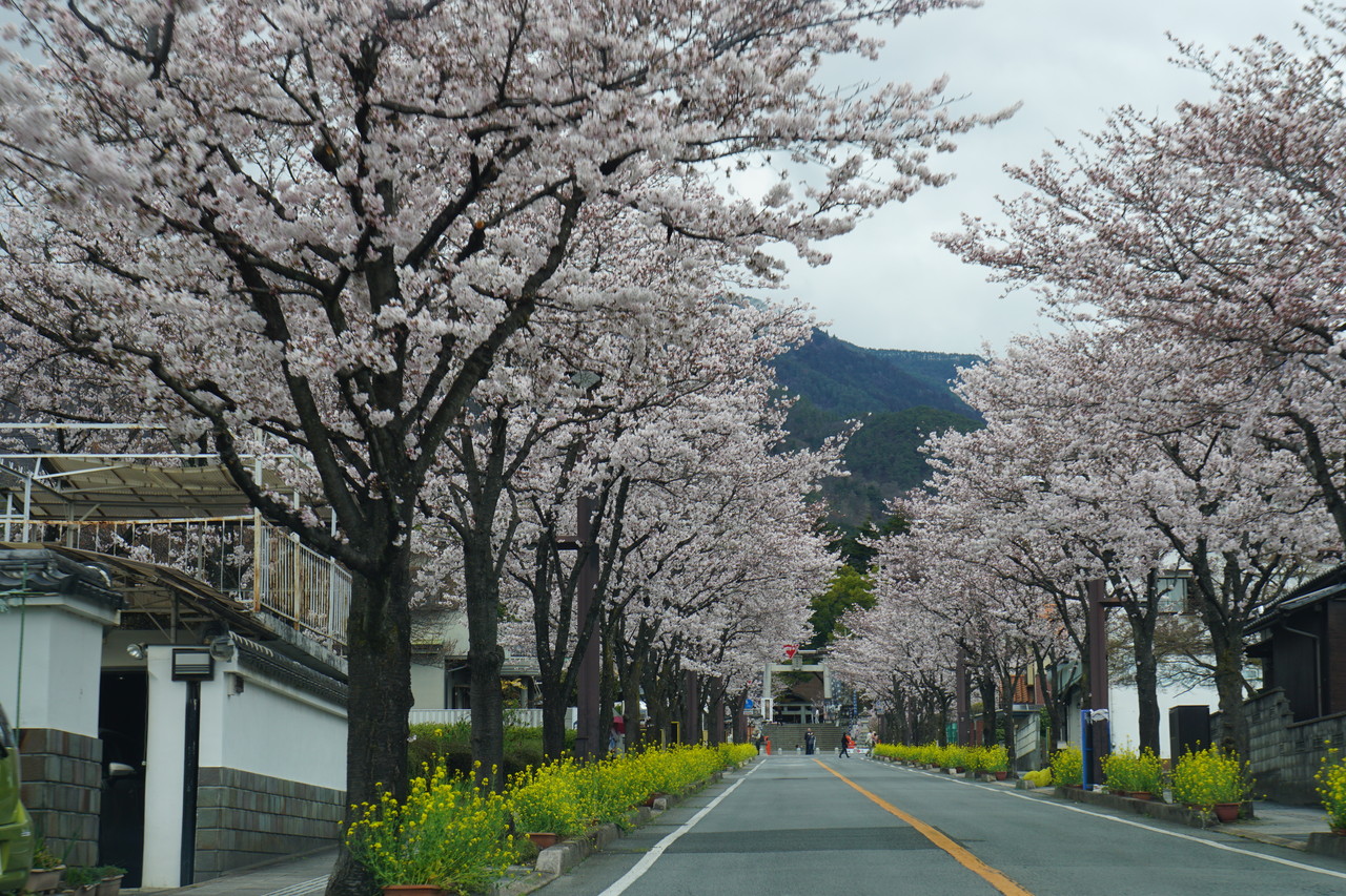 山梨 南信州桜旅 2 A Day In The Life 4 山梨 南信州桜旅 2 A Day In The Life 4