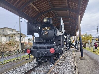 IMG_20230331_072955