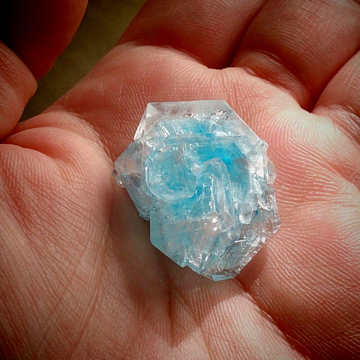 結晶育成キット ハコ屋ジョニィ