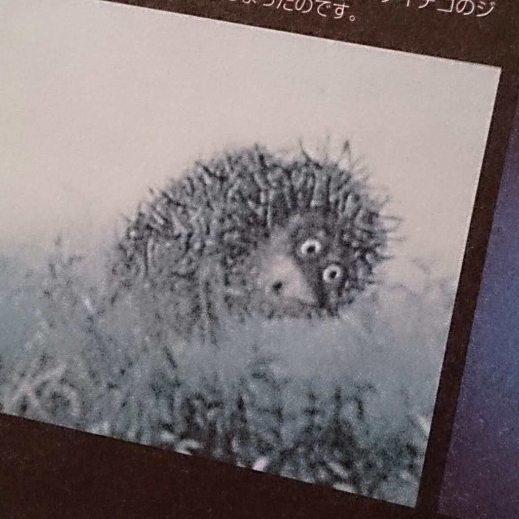 霧につつまれたハリネズミ ハコ屋ジョニィ 霧につつまれたハリネズミ ハコ屋ジョニィ