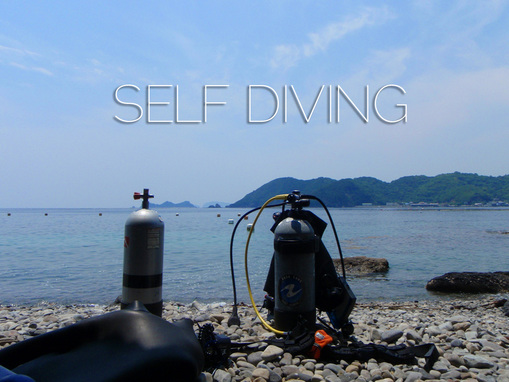 selfdive