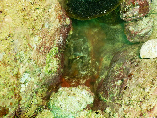 DSCN1258