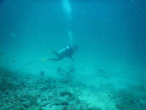 DSCN1322