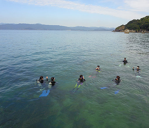 DJI_0012