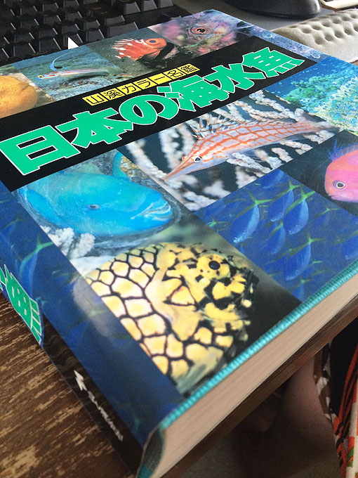 日本の海水魚