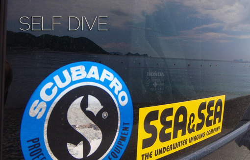 selfdive