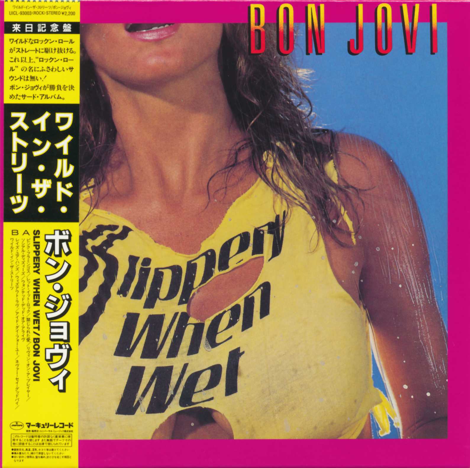 Back To Babylon Diary Slippery When Wet Bon Jovi Back To Babylon Diary Slippery When Wet Bon Jovi