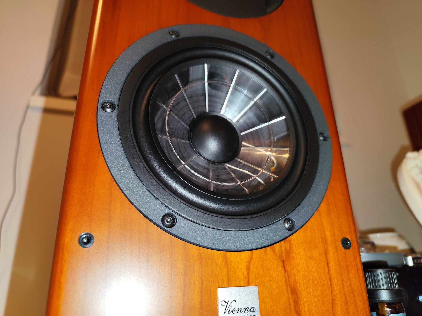 Vienna Acoustics Haydn Grand Symphony Edition : On Age Audio