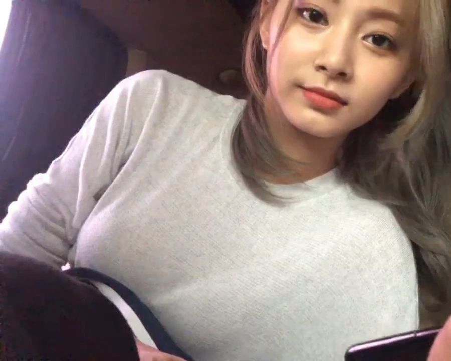 今日のパトロール日誌