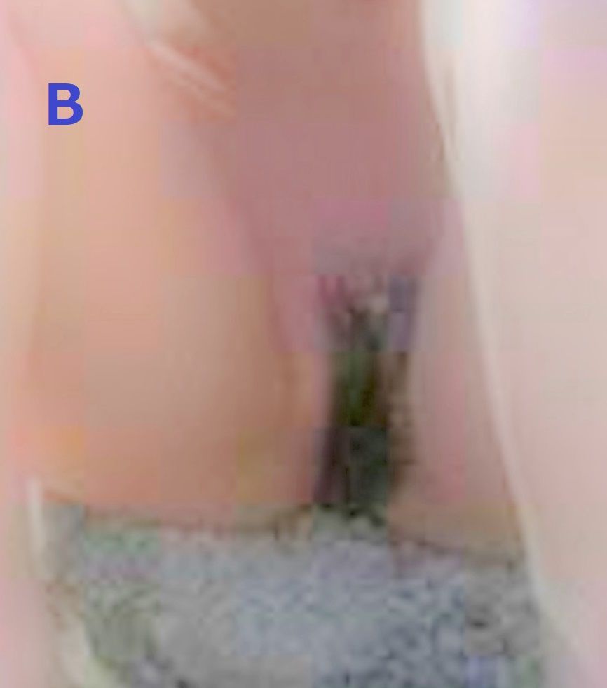 かでなれおん　エロ 女優【かでなれおん】サン、幻のワレメ薄消ヌード画像は存在した！？ : 今日のパトロール日誌