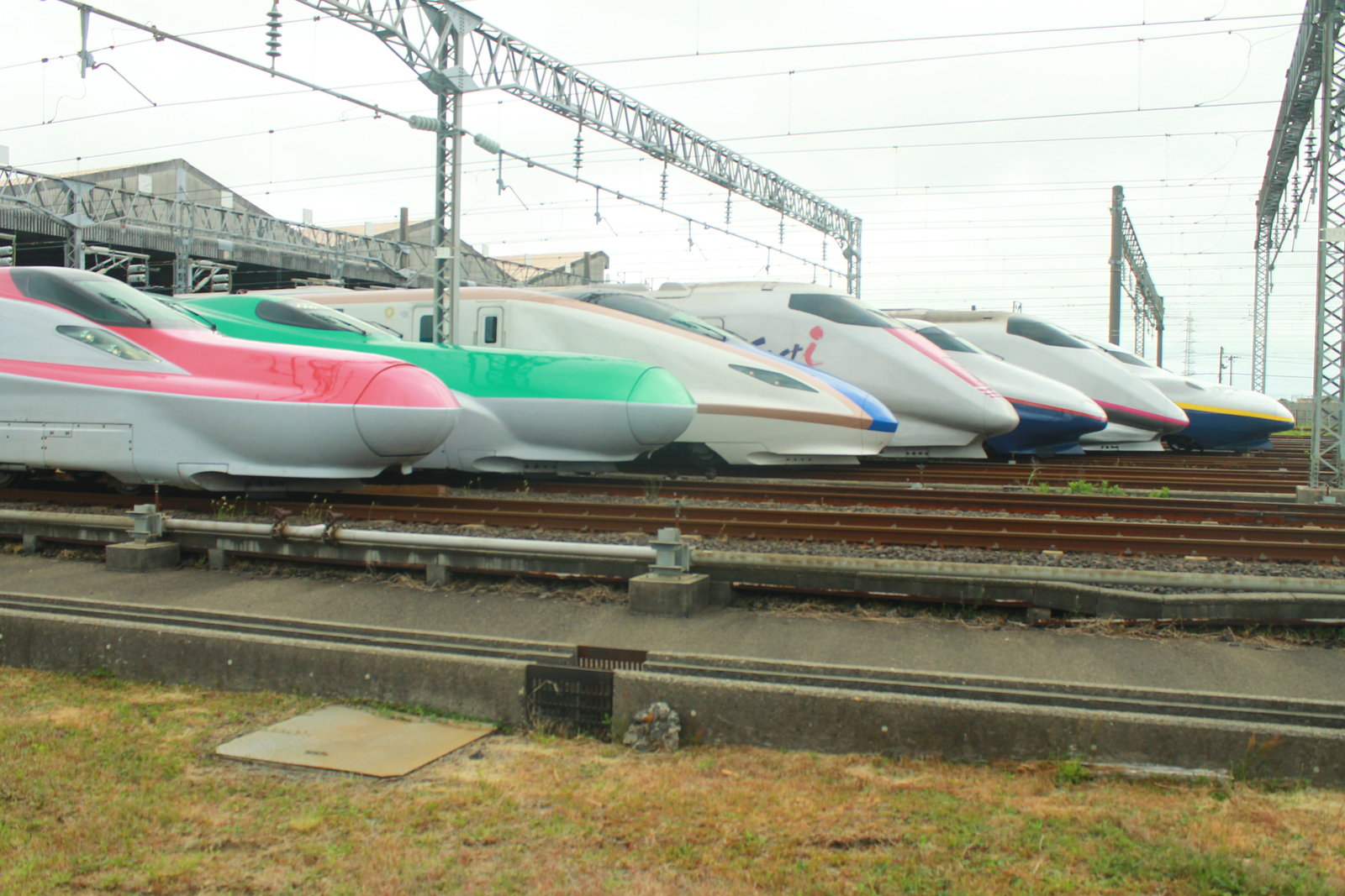 あらかわ交通ノート 新潟新幹線スーパーフェスティバル その１ 未来の扉 E5 E6 E7系を中心に