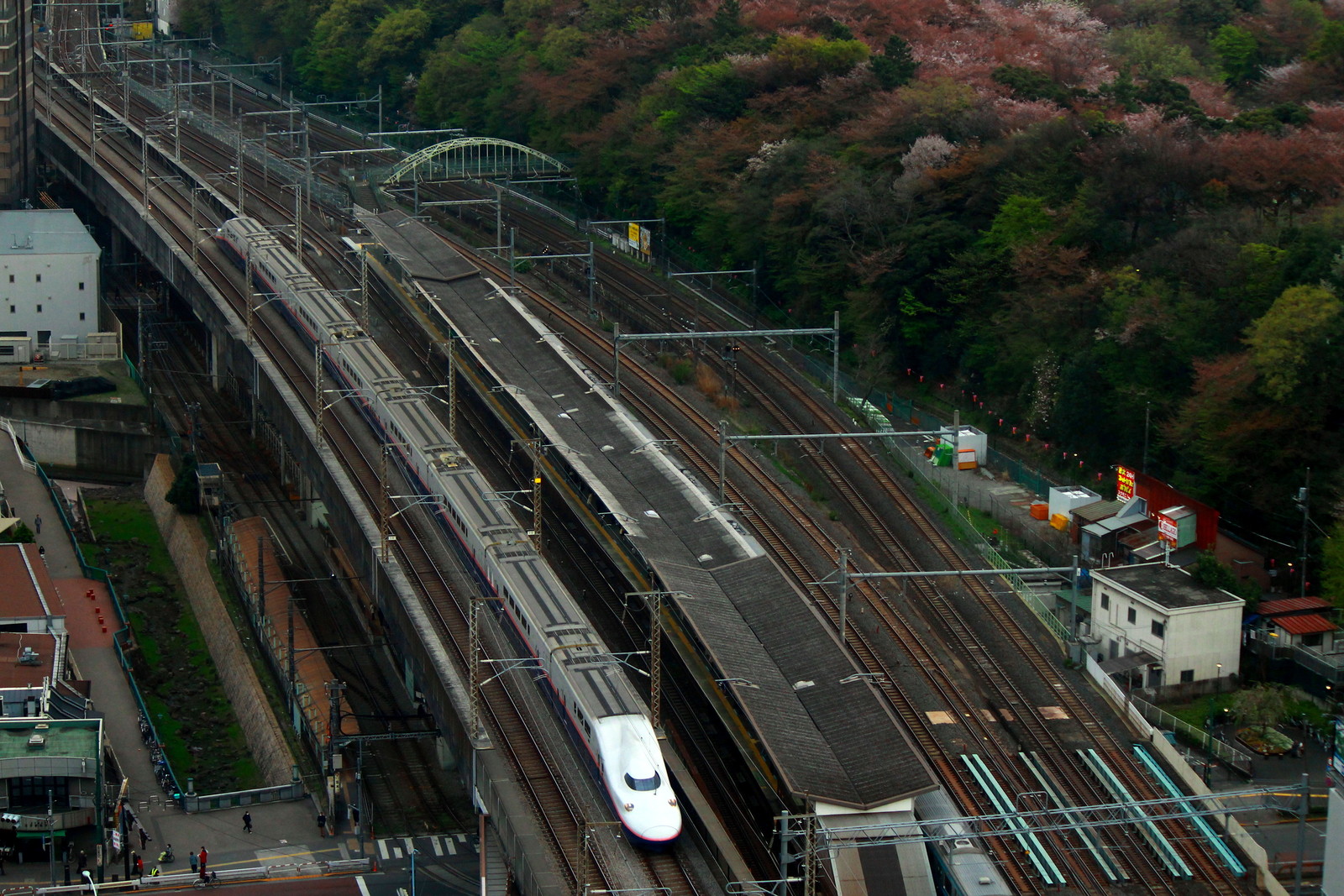 あらかわ交通ノート 北とぴあから飛鳥山公園の桜と新幹線 都電荒川線などを撮影をする２０１５