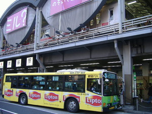 �첣����ë�أ�