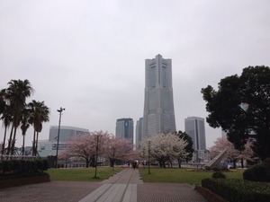 C47F3F67-D911-4390-8001-F12630DF0C67