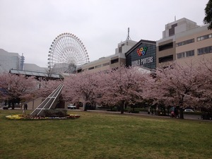 6C88826C-AD89-443D-BD14-3380561E43B0