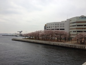 5610A631-5437-469A-9988-D98DCDB65E07