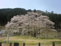CIMG0315