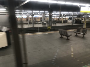 IMG_0081