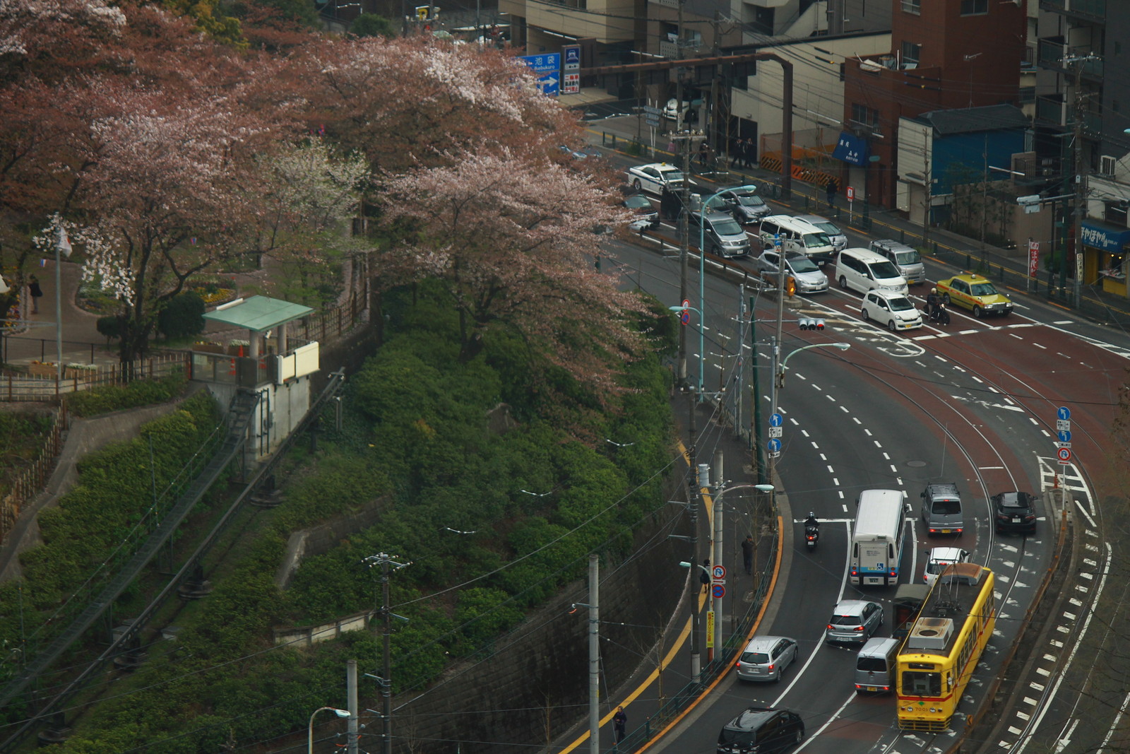 あらかわ交通ノート : 北とぴあから飛鳥山公園の桜と新幹線・都電荒川