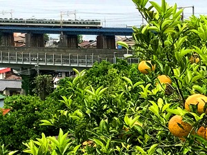 IMG_1913
