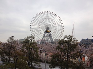 6F774077-7871-46A6-980B-E5D952FC2E14