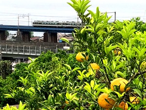 IMG_1910