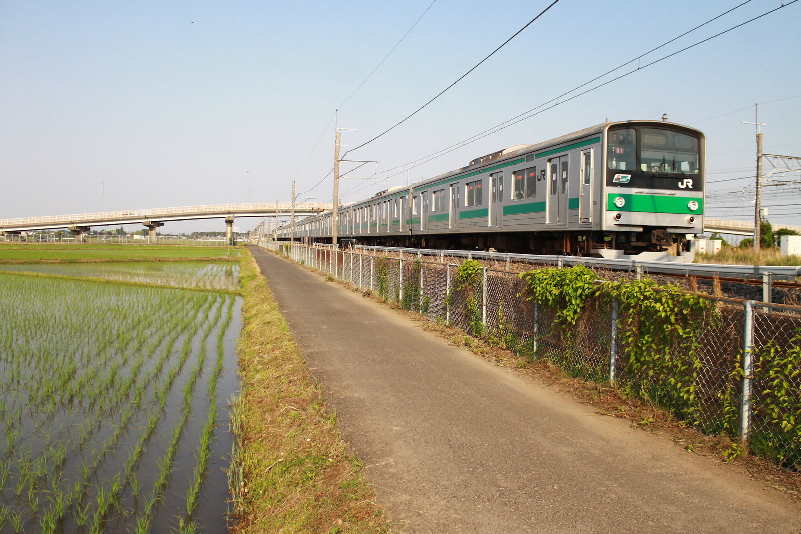 この青い空、みどり～川越線を走る埼京線・川越線の205系と田園風景