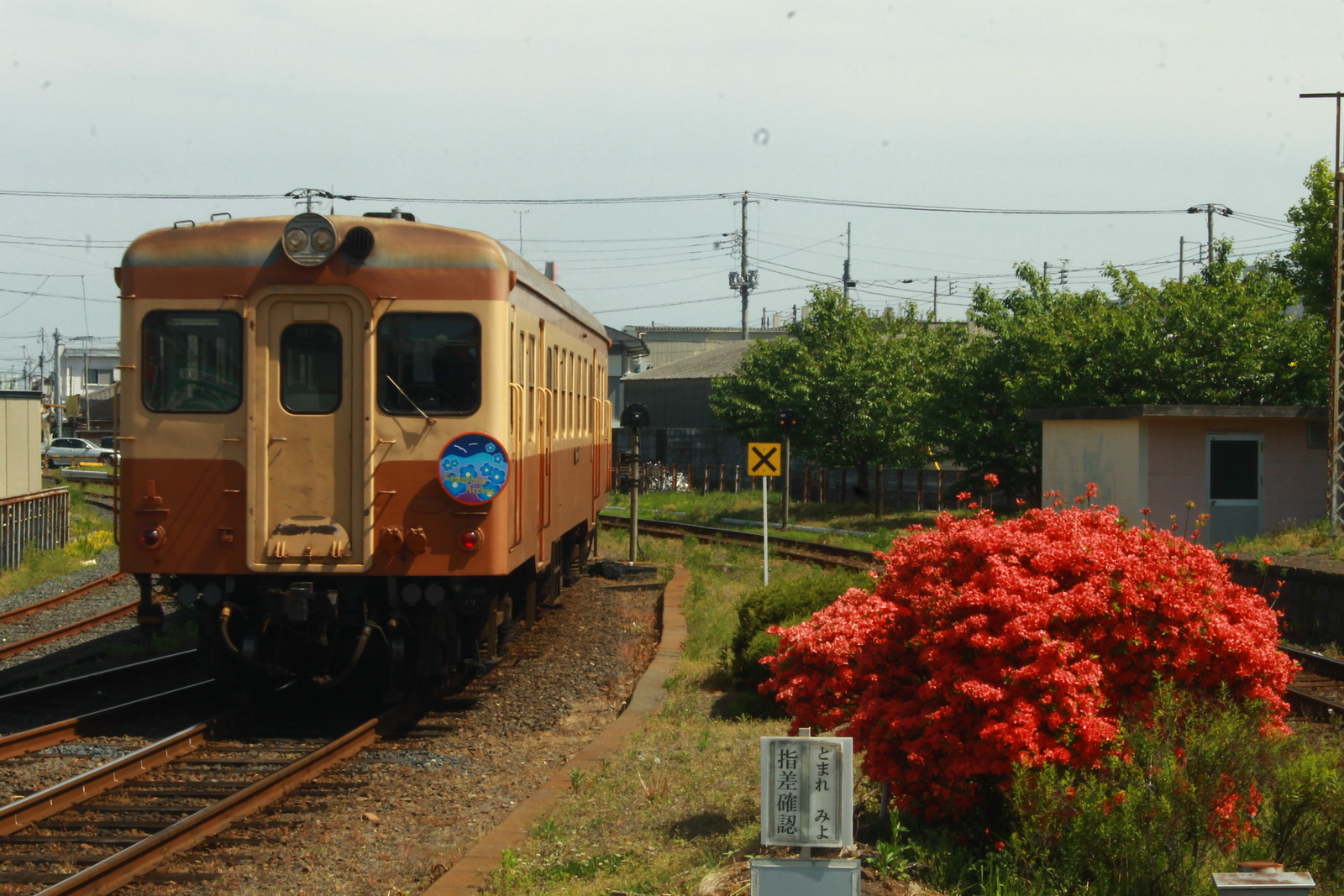 あらかわ交通ノート 岐阜からのキハ11形を迎えて ゴールデンウィークのひたちなか海浜鉄道を那珂湊で撮影をする その１
