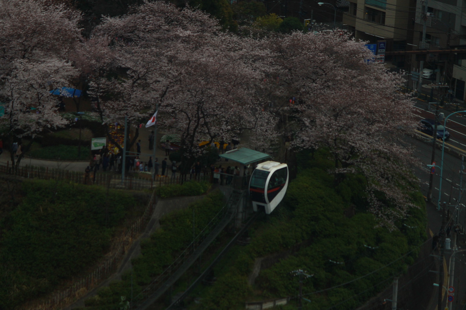 あらかわ交通ノート 17年桜と鉄道 その１ 定番の飛鳥山で四季島と新幹線などを撮る