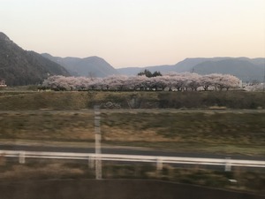 IMG_0084