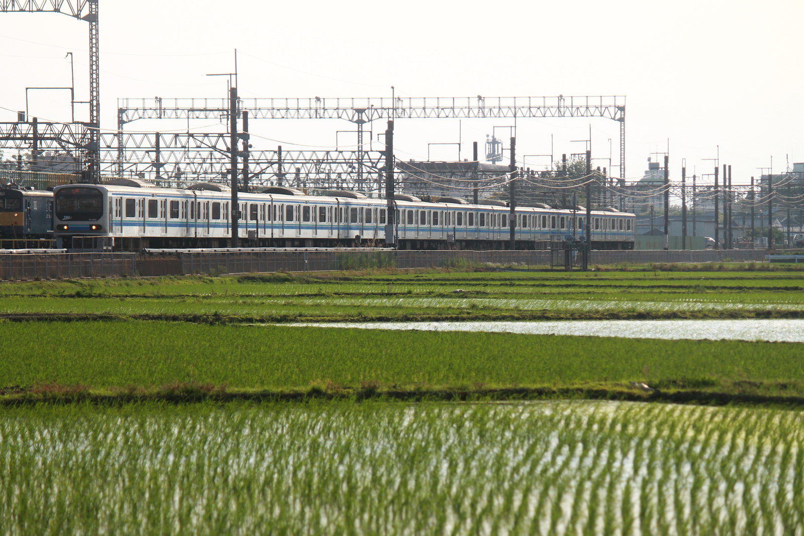 この青い空、みどり～川越線を走る埼京線・川越線の205系と田園風景