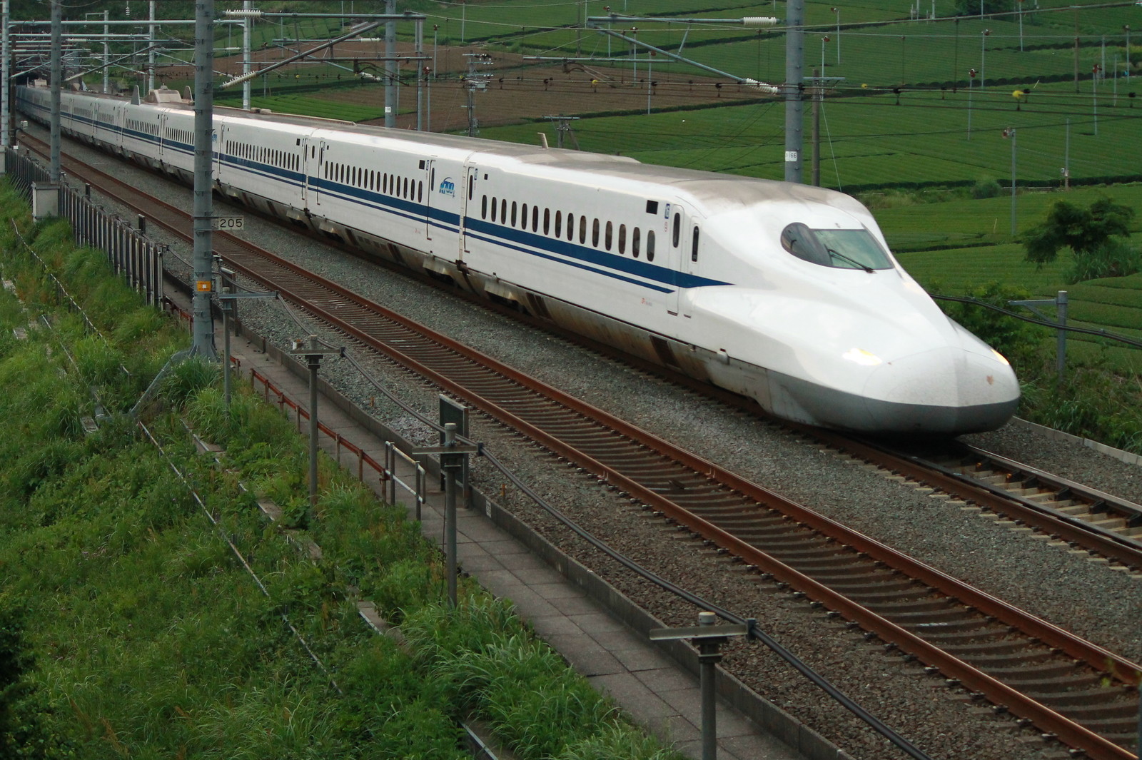 あらかわ交通ノート 茶畑と新幹線の写真とjr西日本のキャンペーンについて あらかわ交通ノート 茶畑と新幹線の写真とjr西日本のキャンペーンについて
