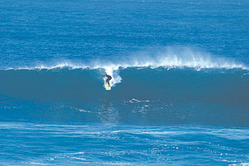 Manly Surf