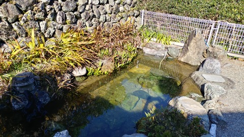 IMG01529_HDR