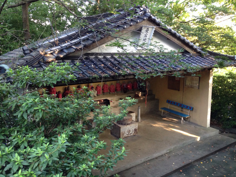 2014-08-17-17-47-59