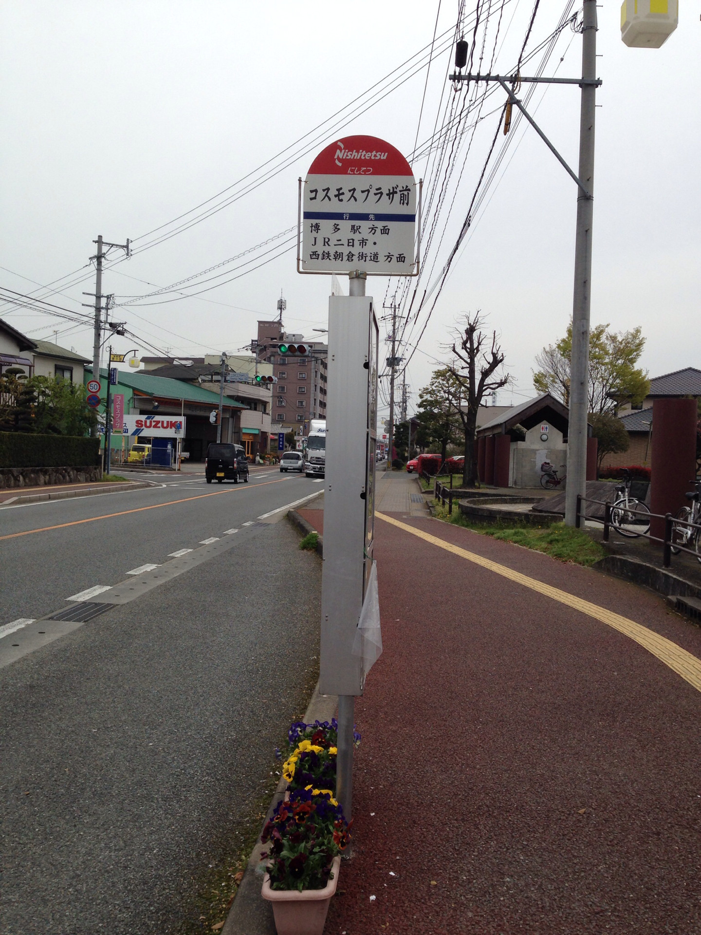 コスモスプラザ前 朝倉郡筑前町 あさってまで休みなので