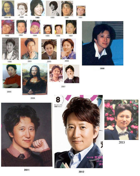 araki2013