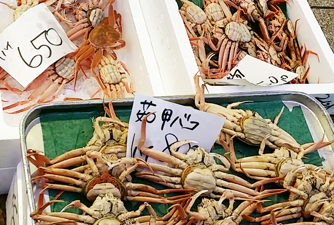 金沢 金沢旅行者必見 近江町市場でお買物するなら メイン通りよりも中通り jolielog
