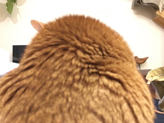 776276D6-348F-4436-BC07-1BD694D687C6