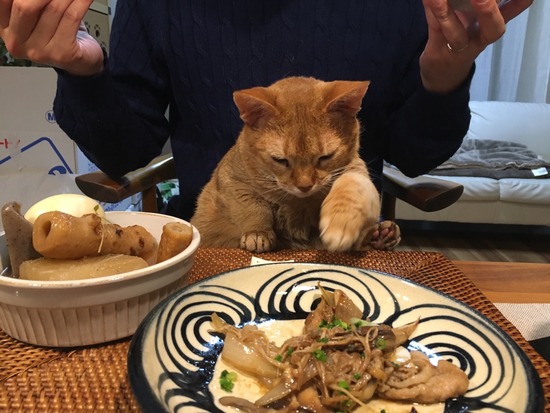 EF2F6895-3B61-4280-8404-65FEBE058B2B