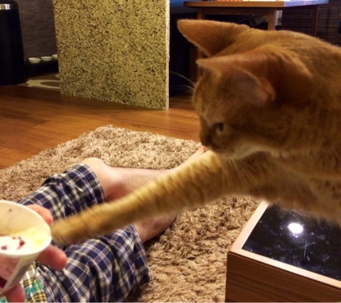 {4C835638-1797-4AC1-A33B-EE4589689EAF:01}