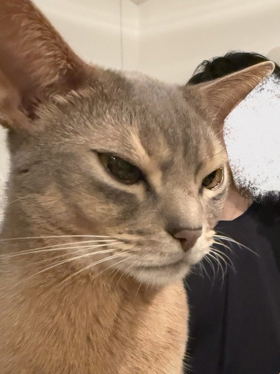 FullSizeRender