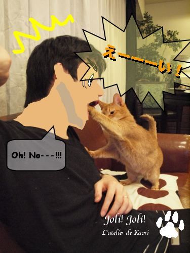 joli!joli!のおうちごはんとおかしとねこ♪