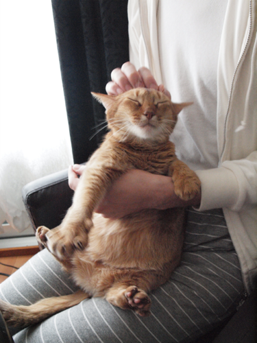 Joli!joli!のブログ-嬉しいヒナちゃん