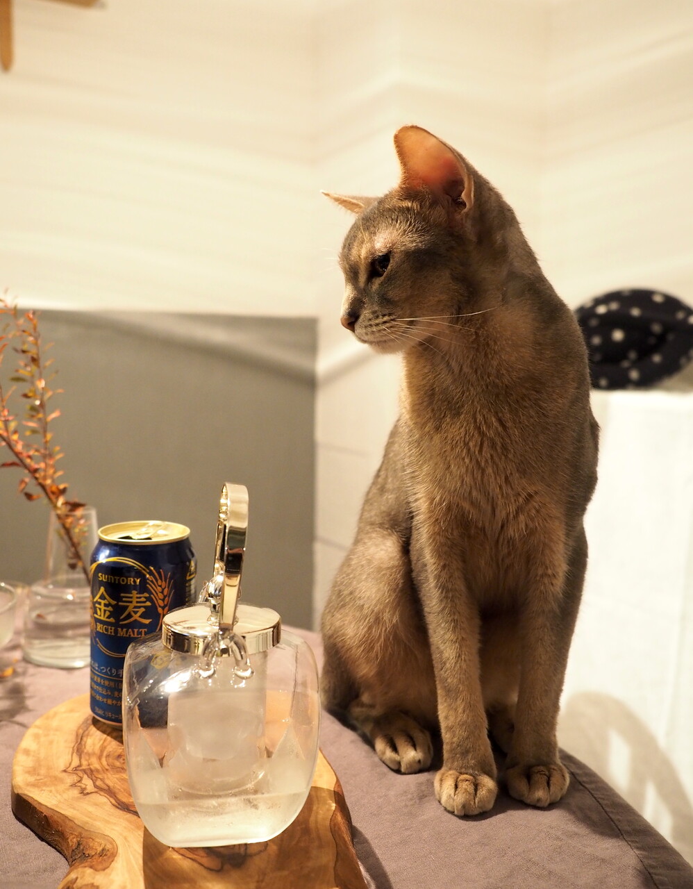 今年初「おでん」の夜ごはん : おうちごはんとおかしとねこ Powered by 