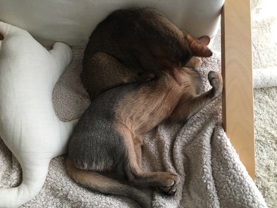 74395F54-F086-41C8-B39C-E13391D4ADF4