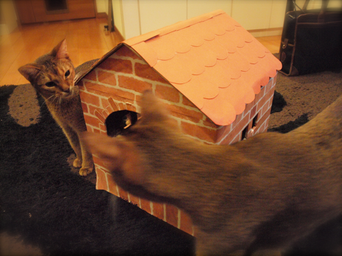 Joli!joli!のブログ-おうち２