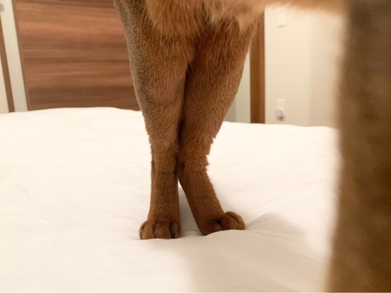 FullSizeRender