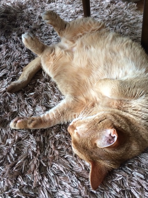 {C4973E76-9AF3-435A-8425-9F1C6ACFD6FE:01}